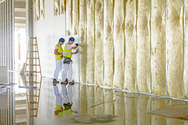 Best Insulation Contractors for Homes  in Lake Meade, PA